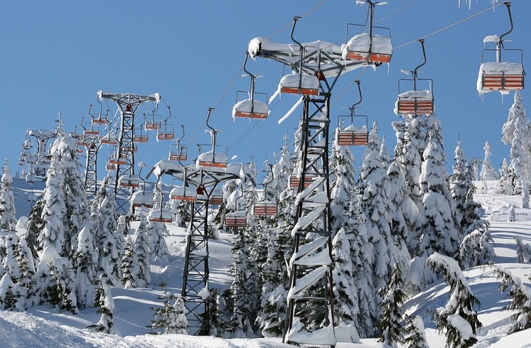 Фото: Lindsey Pattinson