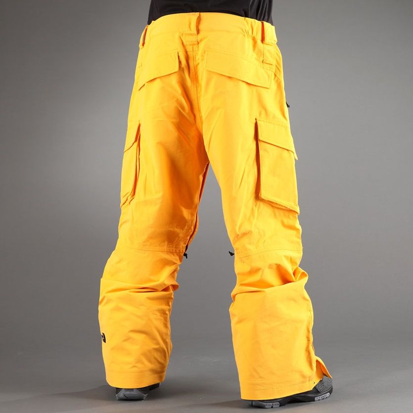 SKI.RU The North Face Slasher Cargo Pants