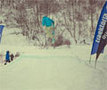      Powered by Quiksilver