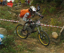 8-10  2008  Alushta Cup     2-  - 2008 . 