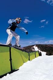   -   Sims Snowboards