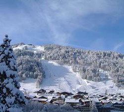 , Pleney. :  www.alpinenavigations.com