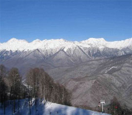  . : www.sochi.ru