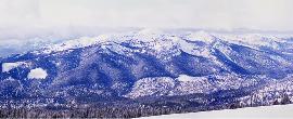    Tamarack (, )