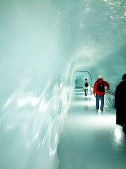 Ледовый дворец