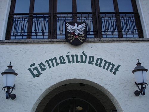 Орел на проводах