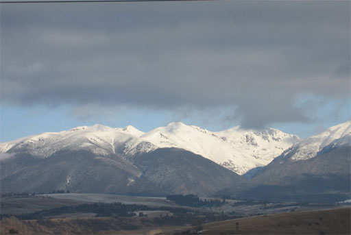 Дорога домой