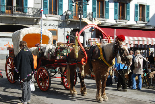 Катание на лошадях в городе
