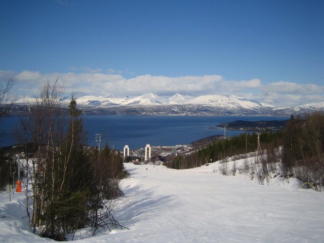 Примерно чуть ниже середины горы