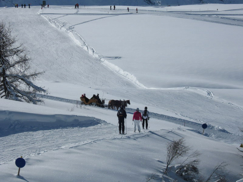 Навстречу друг другу