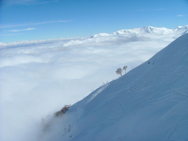 ������ � ������