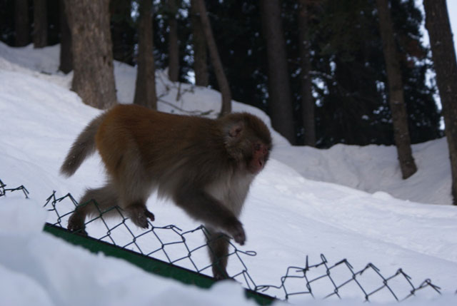 ����� � ����