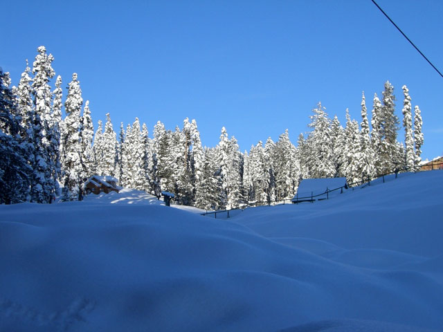 ���� ����� ����