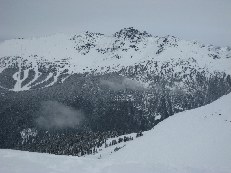     Blackcomb