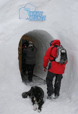 Кто-то из нас увидел издалека, как люди входят во что-то белое, непонятное