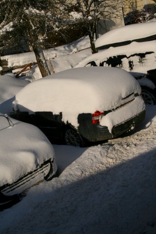 Снега навалило, просто жуть