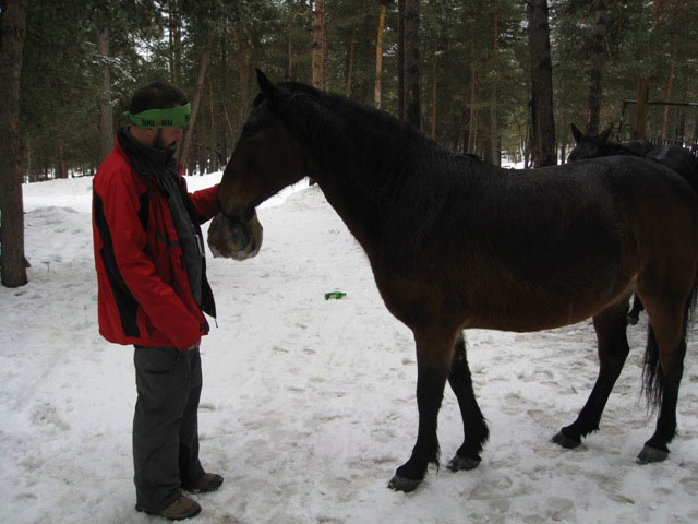 ЖЫвотное