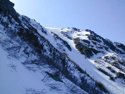 Tuckerman Ravine, Британская Колумбия. 3 мая. Фото: tuckerman.org