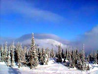 19 . 2002   