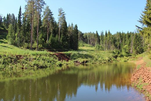 Рыбалка