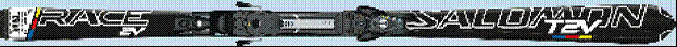 SALOMON Equipe 2V Powerline (увеличить)