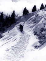 Алма-Ата после снегопада. Дорога на Чимбулак. 1951 г.
