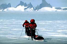 экспедиция в Антарктиде