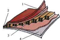 Visoelastic