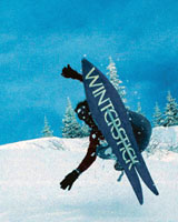 Winterstick