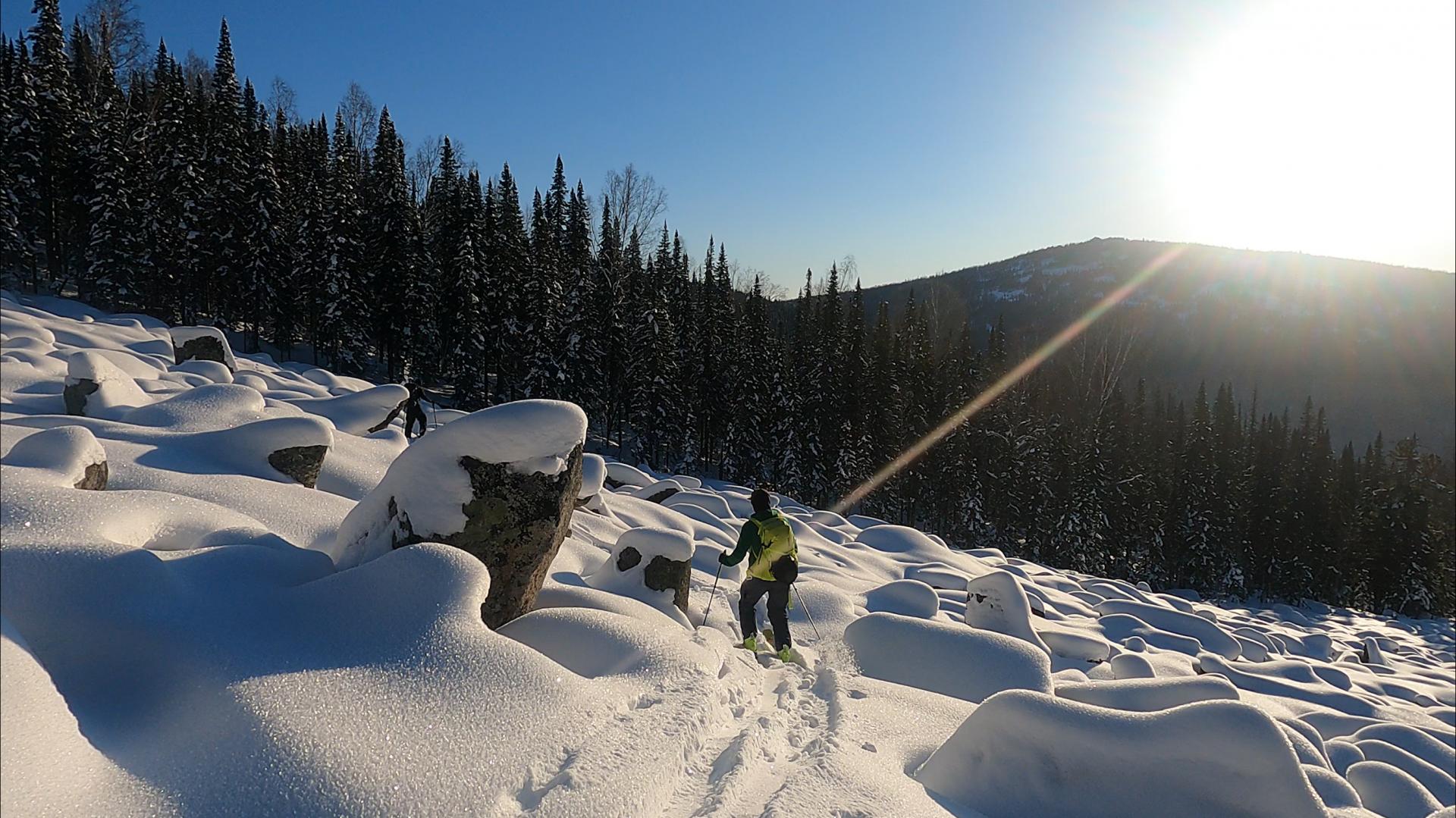 Freeride лес