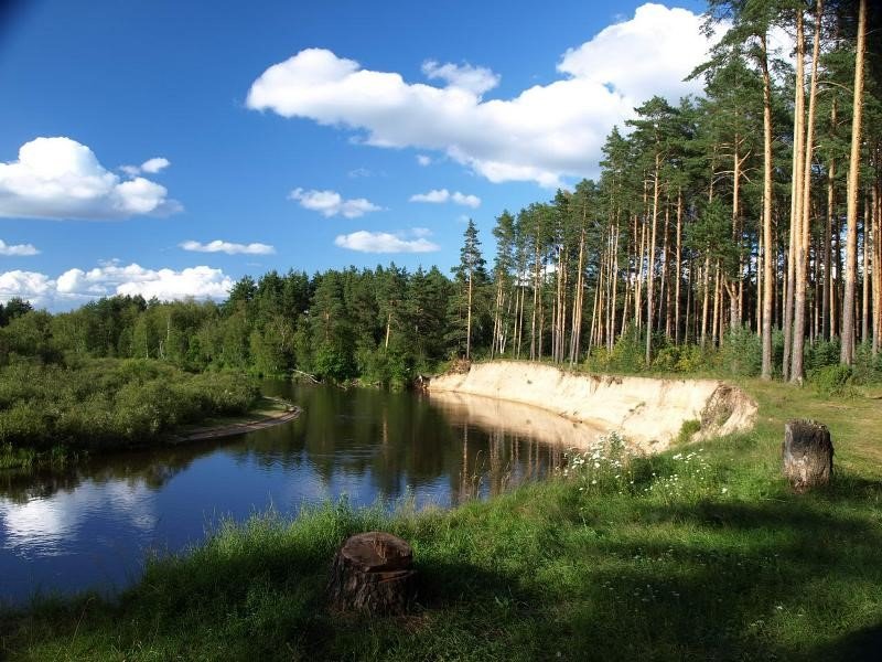 Вода в мещерских озерах. Река пра Мещера. Мещёра национальный парк. Национальный парк Мещерский Рязань. Национальный парк Мещера Гусь-Хрустальный.