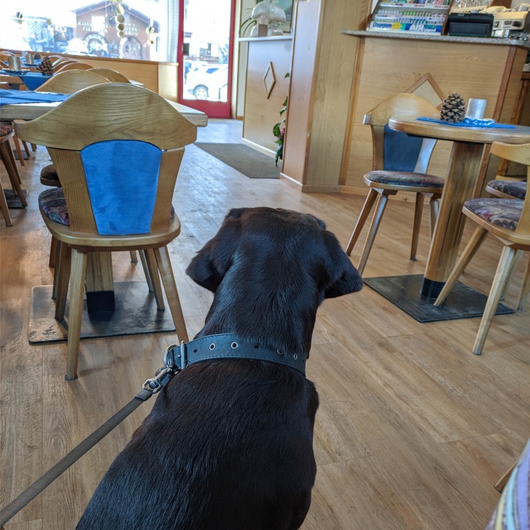 В Ливиньо все кафе и магазины dog friendly