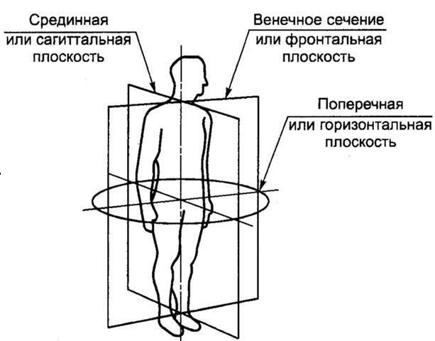 Изображение сечения фотометрического тела в горизонтальной или вертикальной плоскостях называется