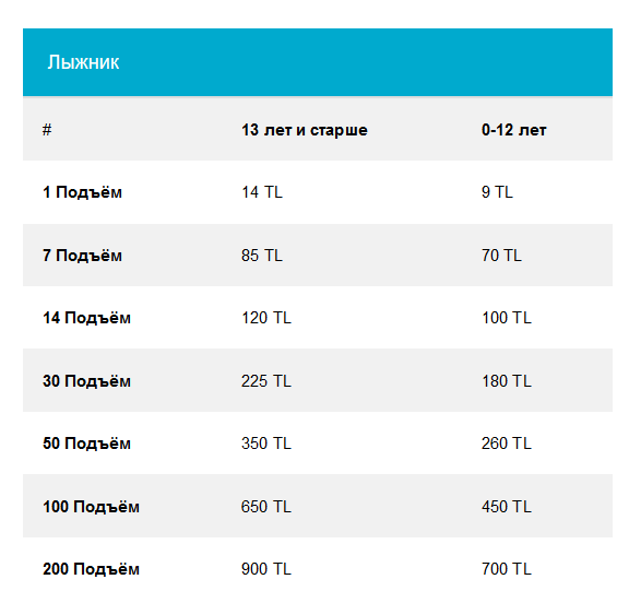 Лучший курс турецкого