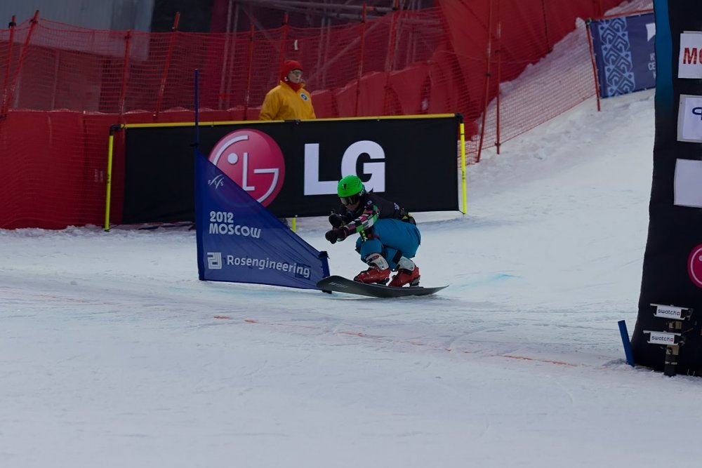 Fis Snowboard Slalom