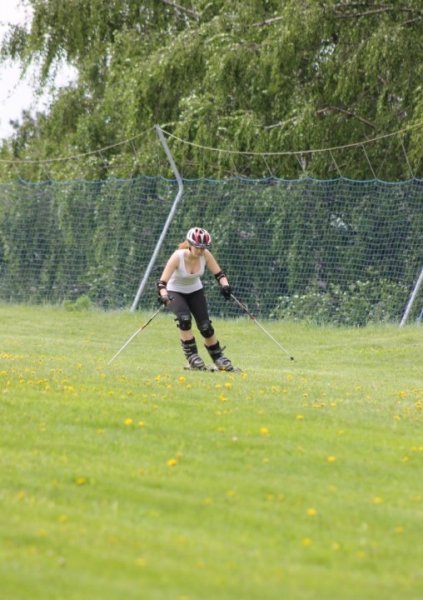 Гусеничные лыжи grass Ski